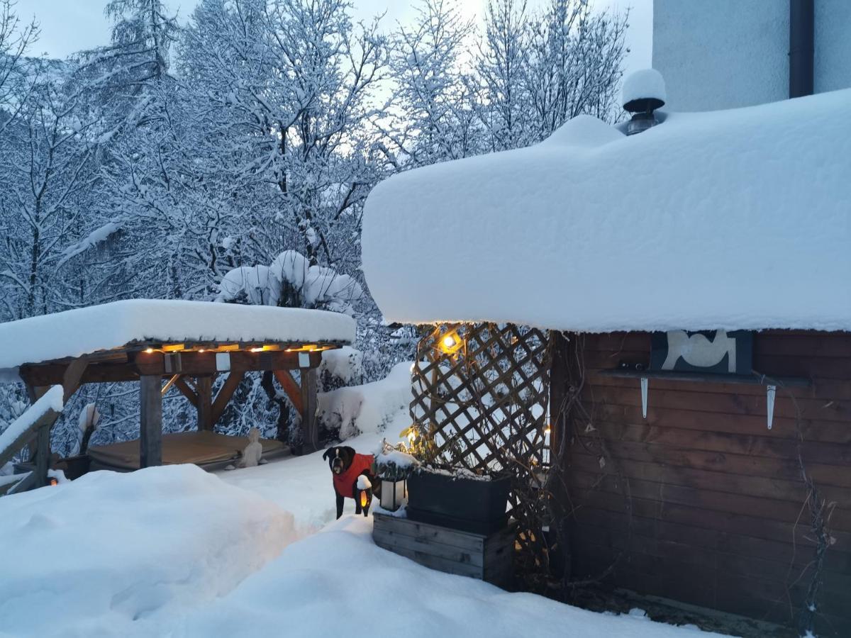 Dolomiti House Guest house *
