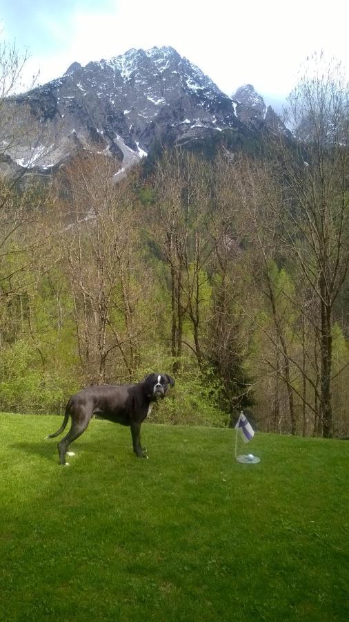 Dolomiti House *